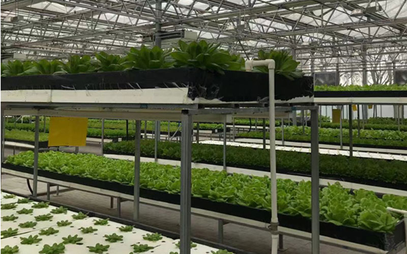 乐天堂fun88·(中国区)官方网站